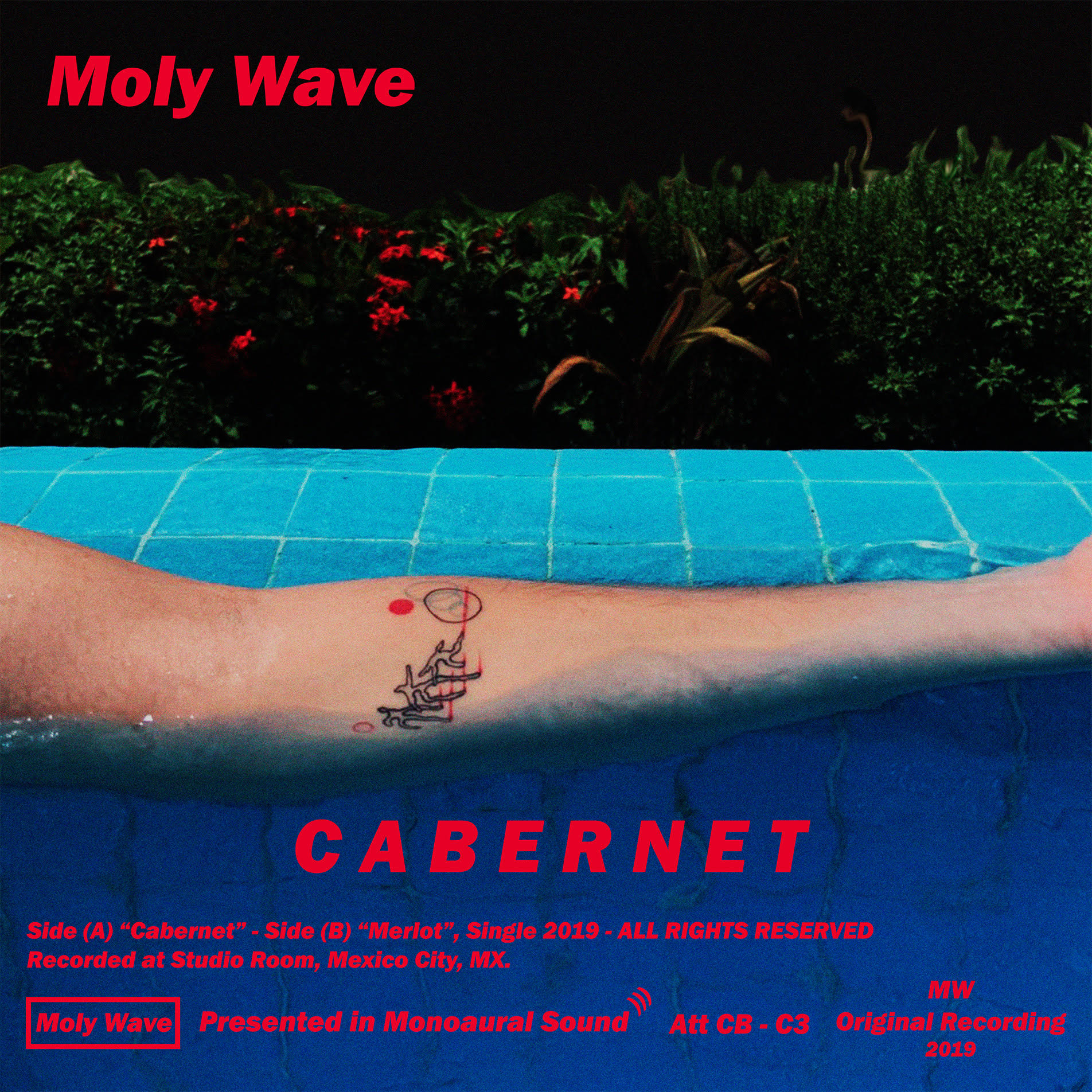Moly Wave se encuentra de estreno.